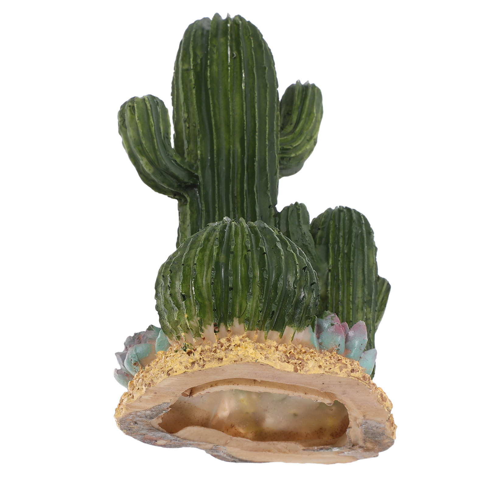 Planta de Cacto Artificial Gra - Terrarium Moss Art avaliação e preço