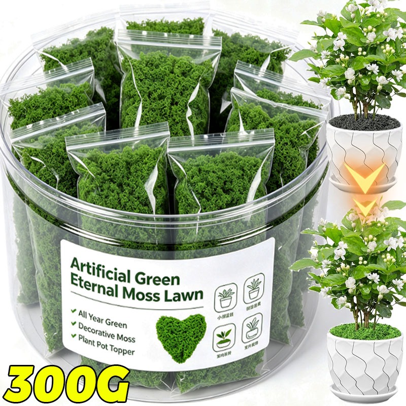 Plantas Verdes Artificiais, Mu - Terrarium Moss Art avaliação e preço