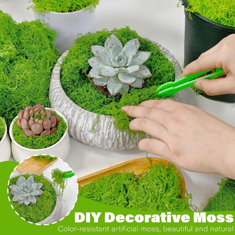 Plantas Verdes Artificiais, Mu - Terrarium Moss Art avaliação e preço